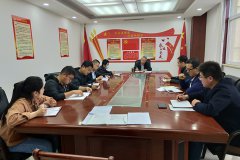 公司第二支部開展“戴黨徽、亮身份、亮標(biāo)準(zhǔn)、亮承諾、展先鋒”主題黨日活動(dòng)